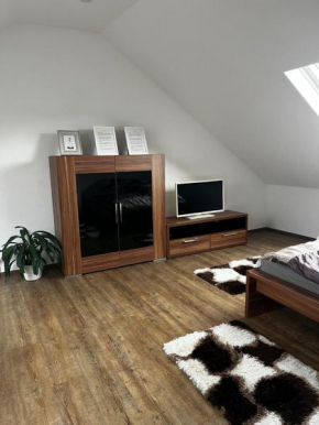 Studio Apartment Koblenz